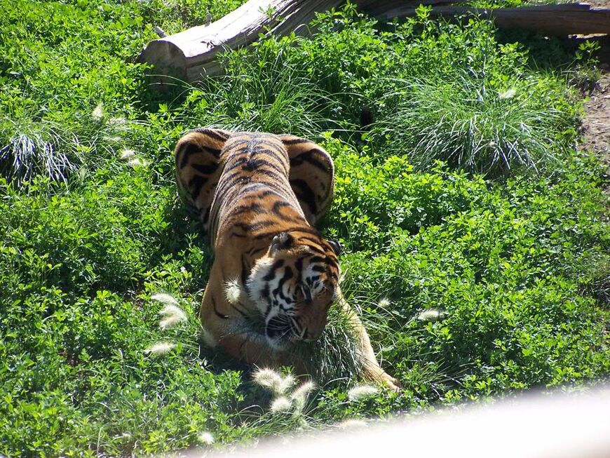 Зоопарк «Terra Natura»