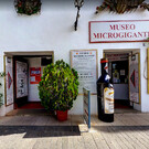 Музей микрогигантов