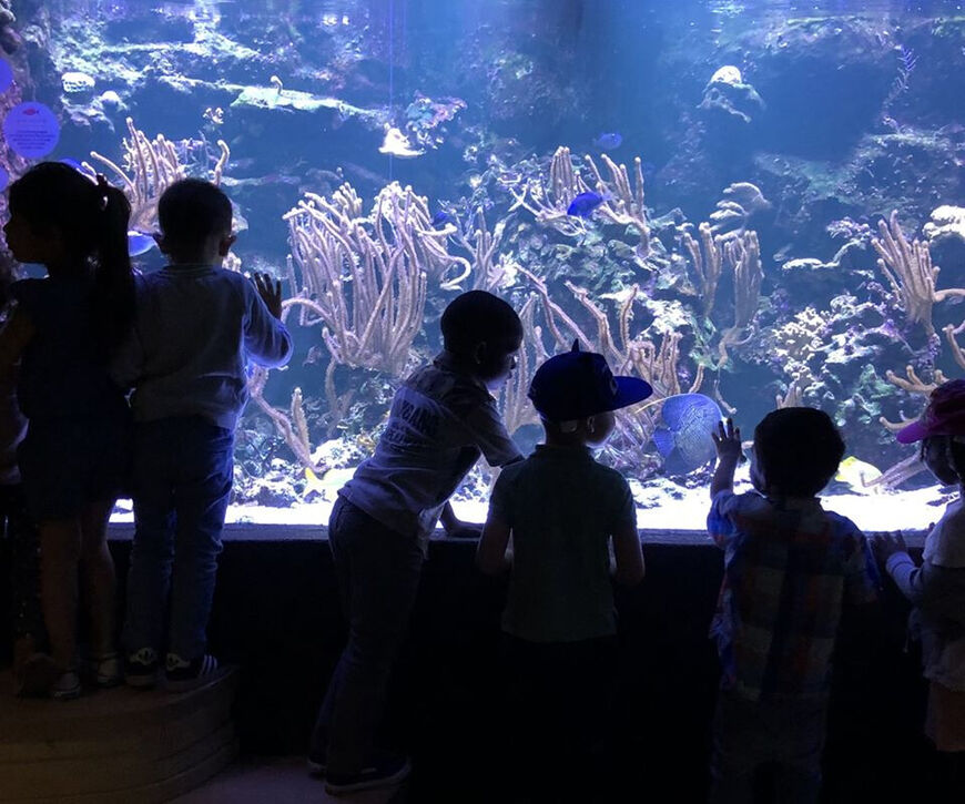 Тропический аквариум<br/> в Париже