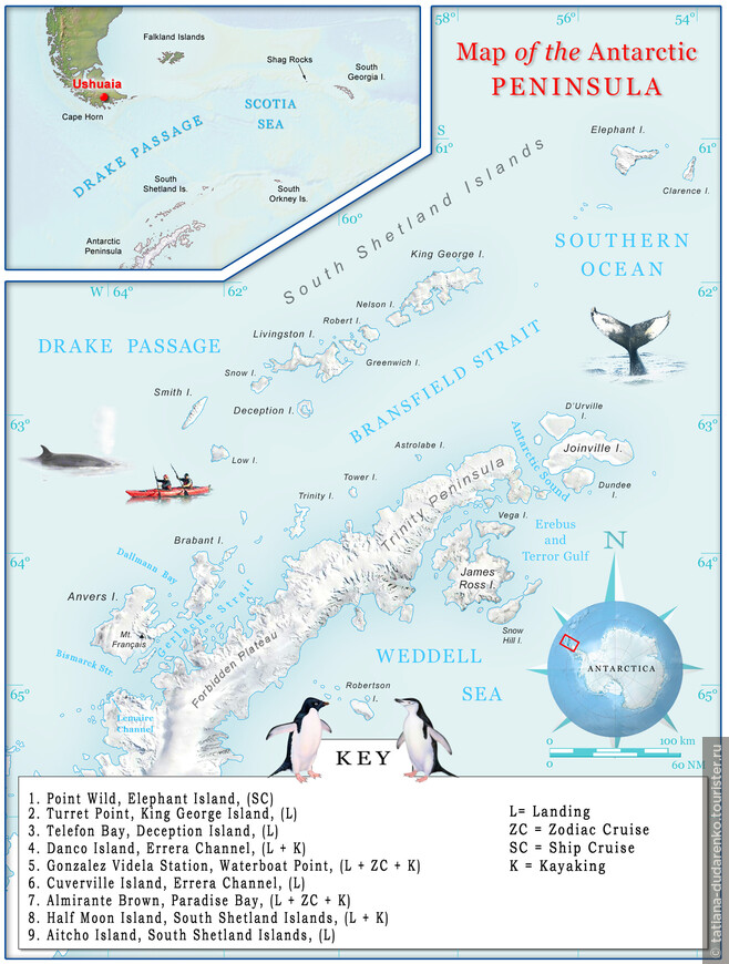 Южная Георгия. Антарктический дневник
