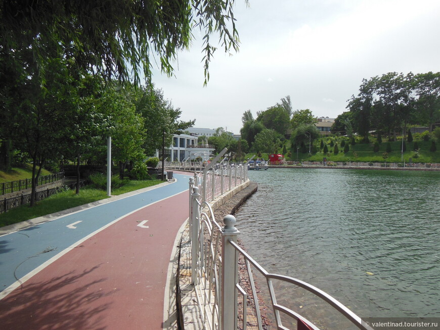Беговая и велодорожки в Экопарке.