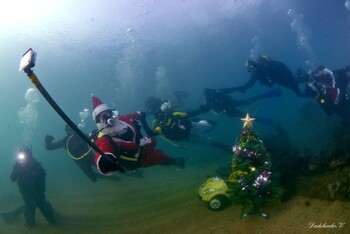 На дне моря в Крыму установят новогоднюю ёлку