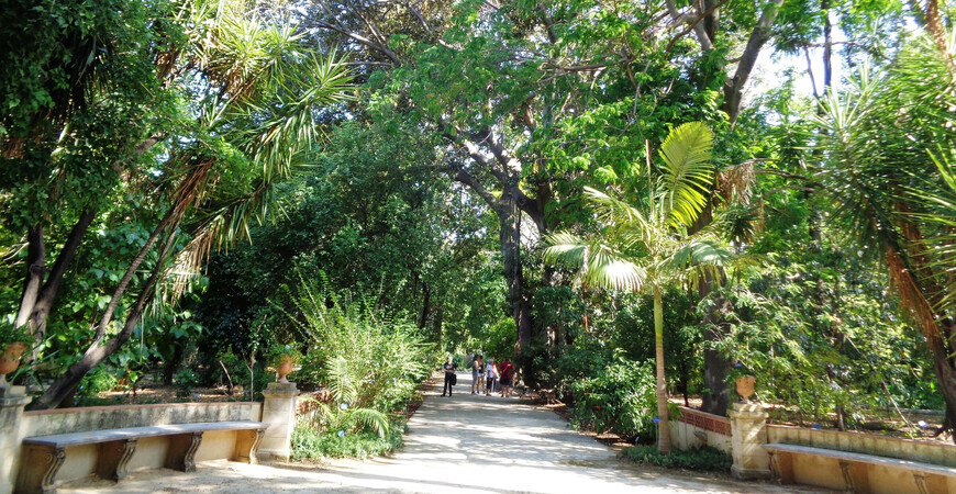 Ботанический сад Палермо