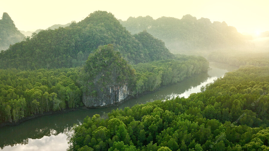 Лангкави лес