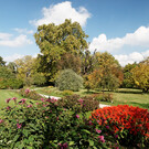 Ботанический сад Венского университета