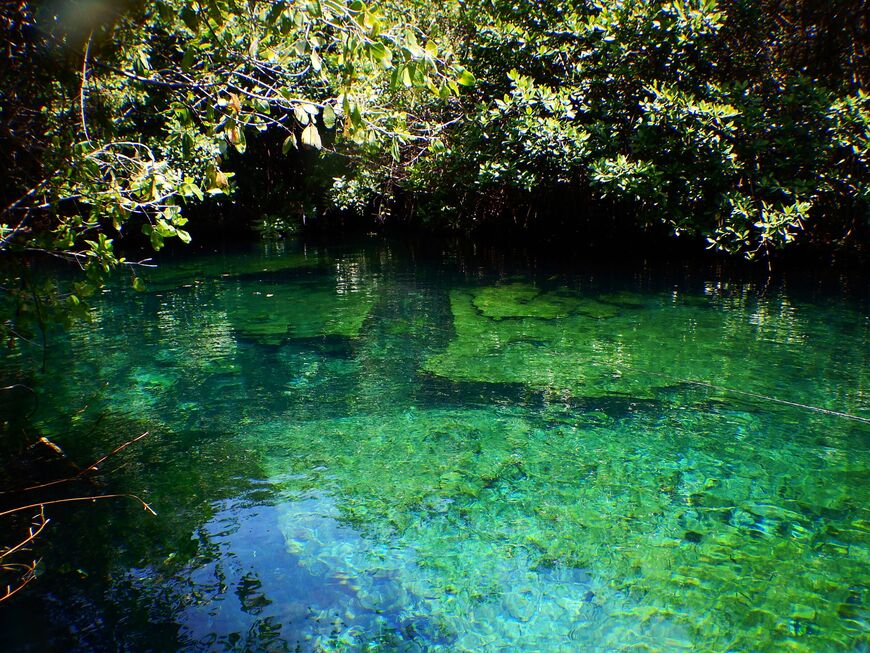 Xcacel Cenote