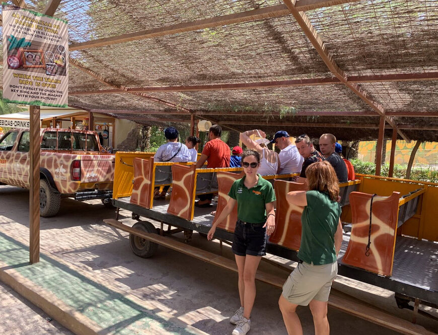 Транспорт с гидами для комфортного осмотра зоопарка