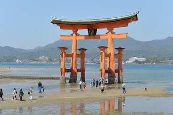 Популярный остров в Японии вводит турсбор 