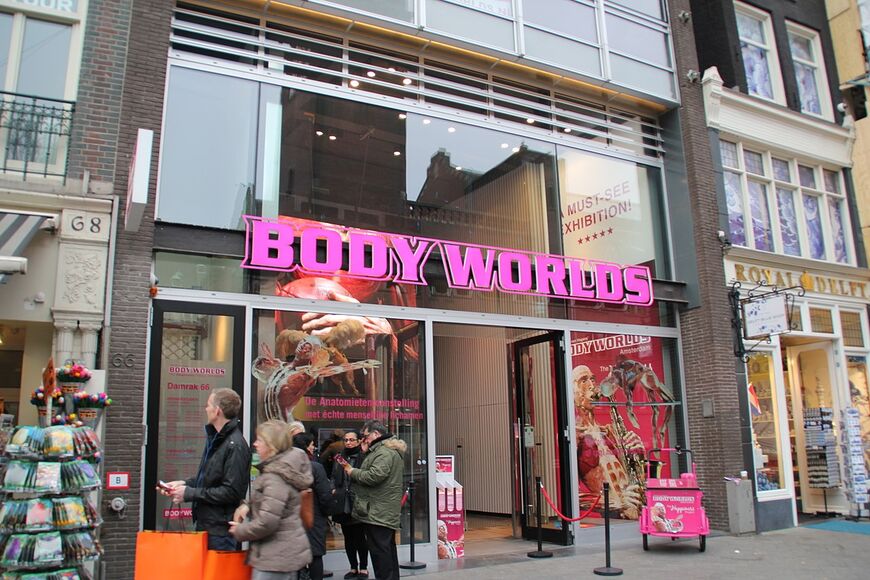 Музей человеческого тела «Body Worlds»