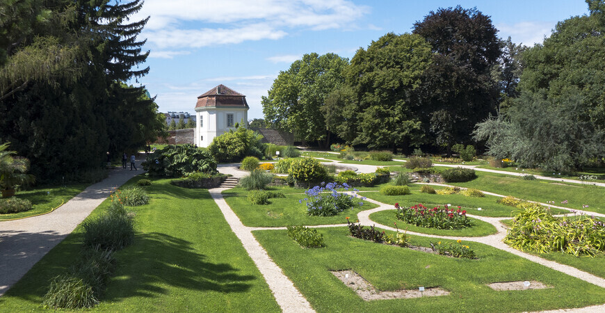 Ботанический сад Венского университета