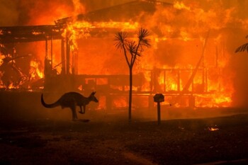 Австралия страдает от сильнейших лесных пожаров 
