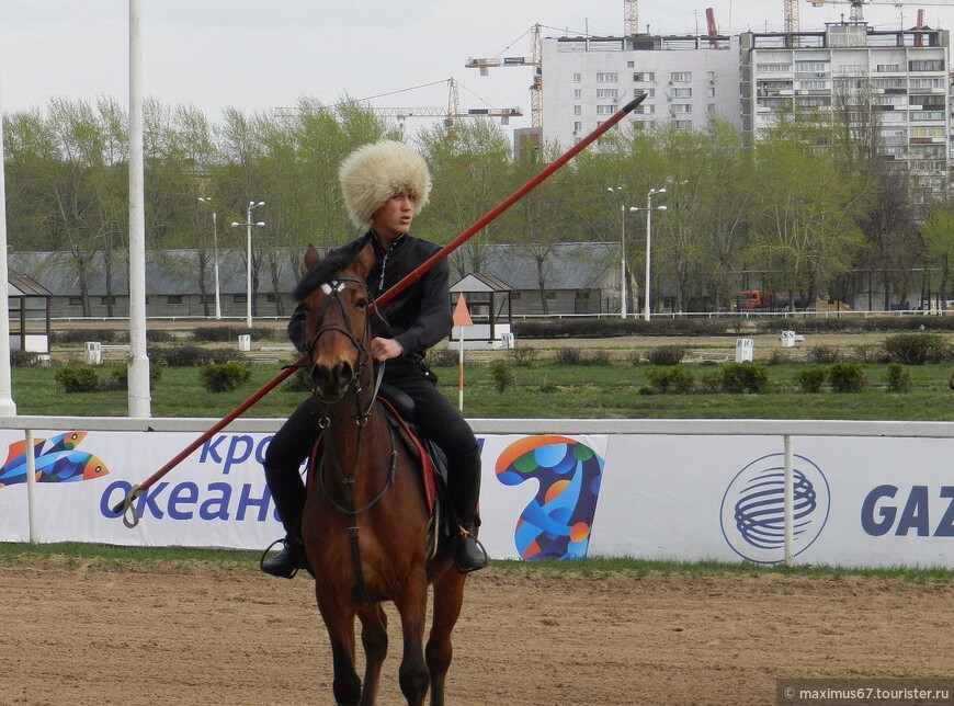 О бегах, о скачках, о тотализаторе