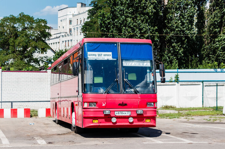 Автобус Воронеж — Белгород