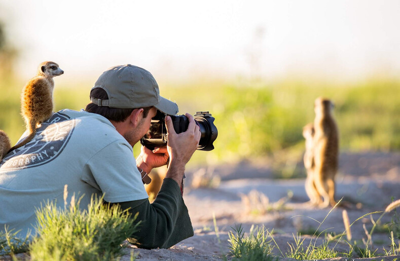 Как фотограф подружился с сурикатами в саванне: забавные фото о животных, которые могут быть не такими уж и дикими
