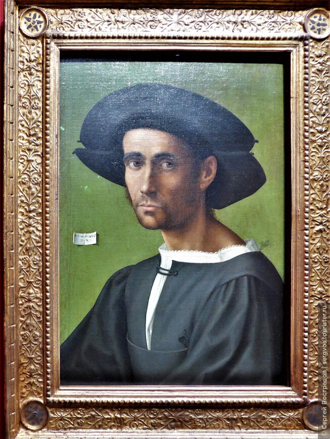 Мужской портрет.
Флорентийский мастер Франчабиджо, 1517