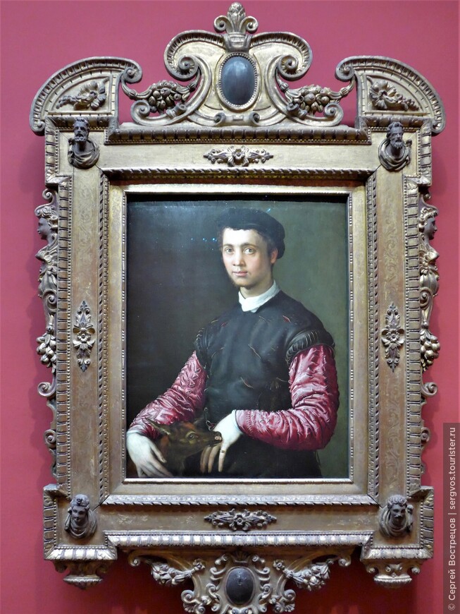 Мужской портрет.
Франческо де Росси (прозв. Сальвиати), 1543-48