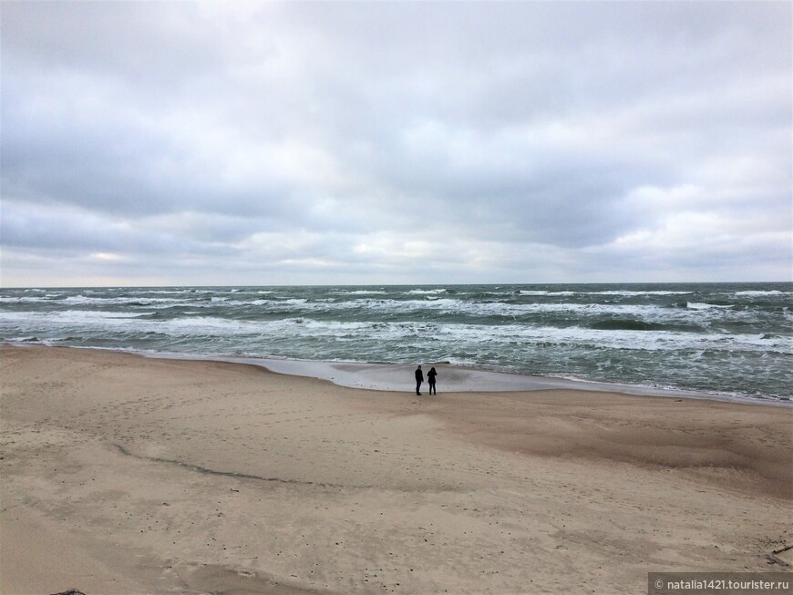 Море, солнце и песок... Зимние этюды Куршской косы