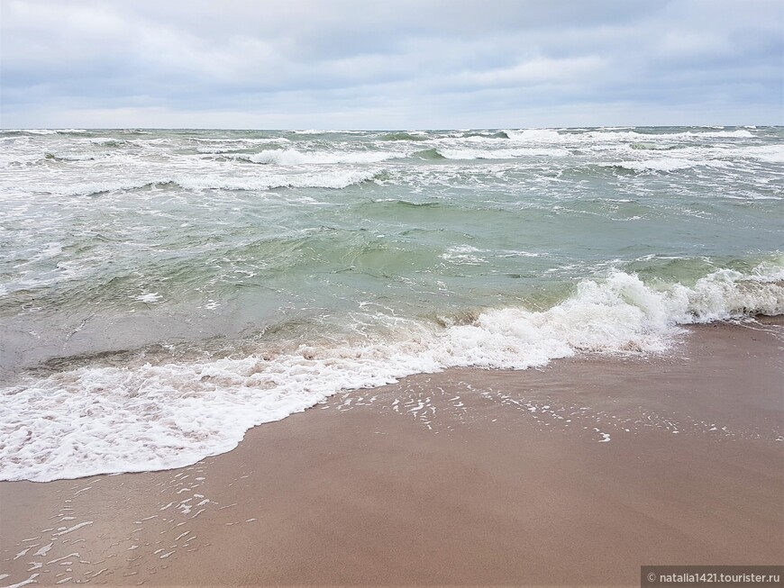 Море, солнце и песок... Зимние этюды Куршской косы