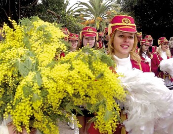 В Черногории пройдёт грандиозный Фестиваль мимозы 
