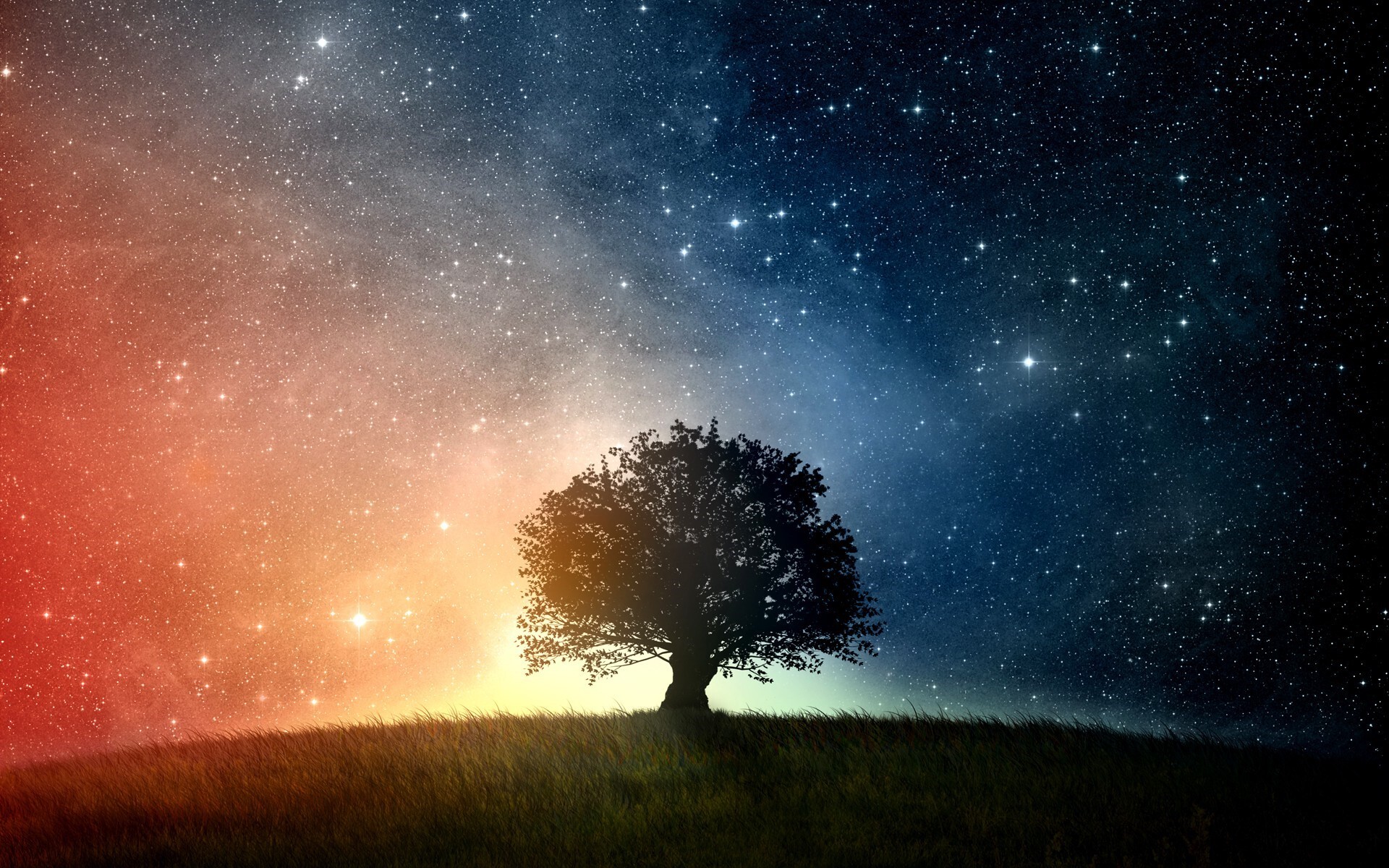 Фон день ночь. Дерево в космосе. Деревья на фоне ночного неба. Звездное небо деревья. Дерево на фоне звездного неба.