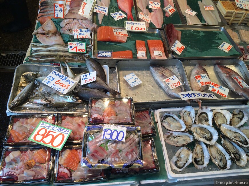 9-10-ый день в Японии. Рыбный рынок Цукидзи, Хатико, Шибуя и Акихабара