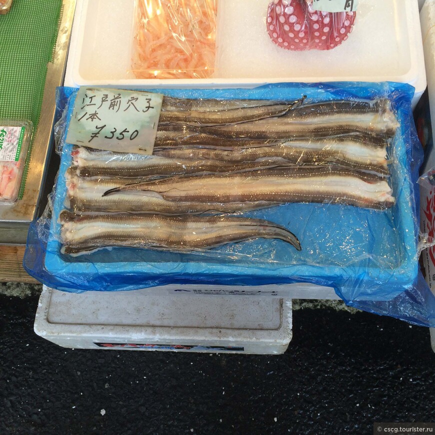 9-10-ый день в Японии. Рыбный рынок Цукидзи, Хатико, Шибуя и Акихабара