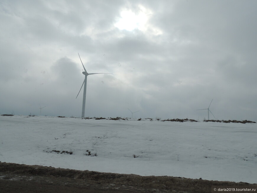 Едем в Новогрудок. По пути видим ветряные мельницы для электричества. 