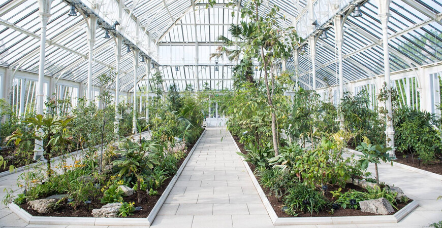 Королевские ботанические сады Кью