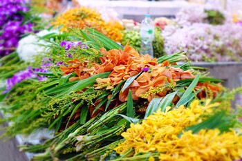 В Таиланде пройдёт грандиозный Фестиваль цветов