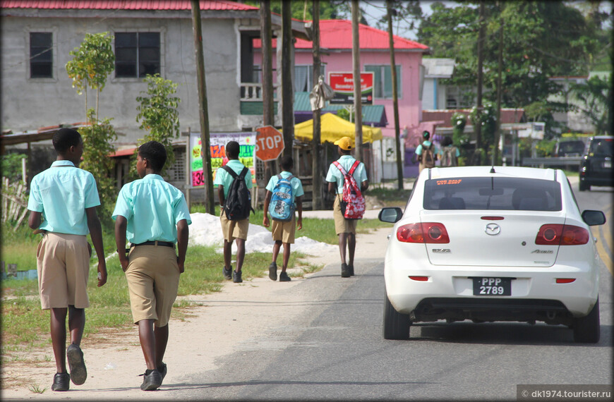 Дорожные зарисовки — Гайана