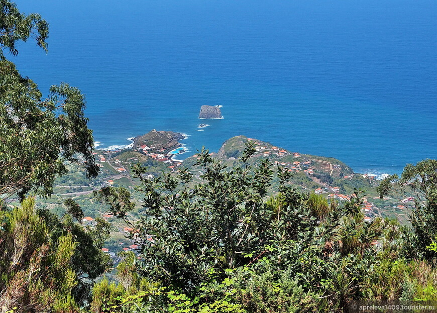 Мадейра. По местам заповедным: левада Рибейру Фриу – Портела