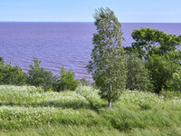 Ильменский глинт