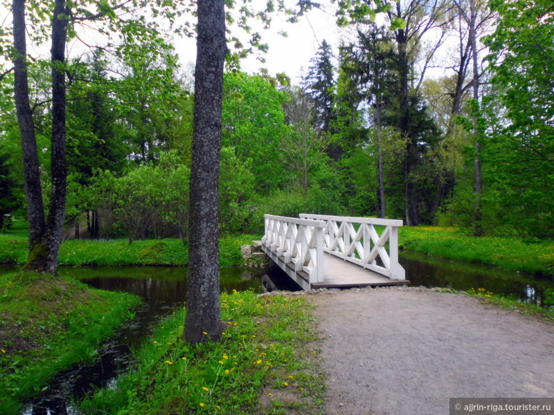 Тюльпаны поместья Бурбишкис, Литва