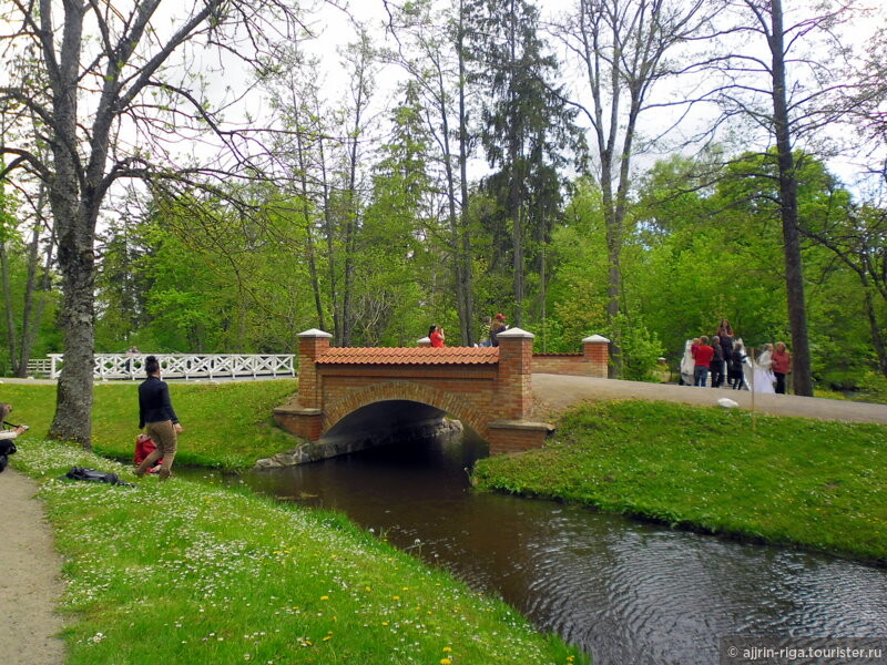 Тюльпаны поместья Бурбишкис, Литва