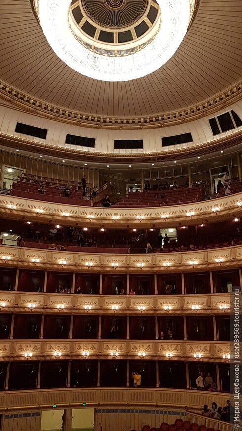 Венская Опера — вишенка на торте в туре по Вене