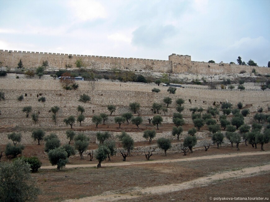 Экскурсия «Иерусалим и Петра»