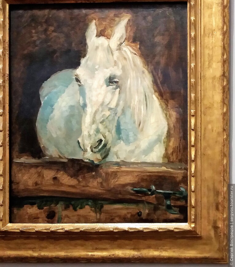 Белая лошадь «Газель».
Анри де Тулуз-Лотрек, 1881.
Альбертина, коллекция Батлинер.
