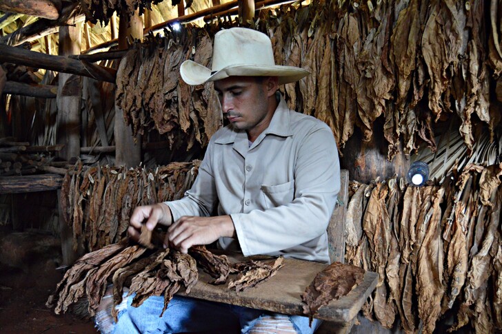 Производство сигар на Кубе
