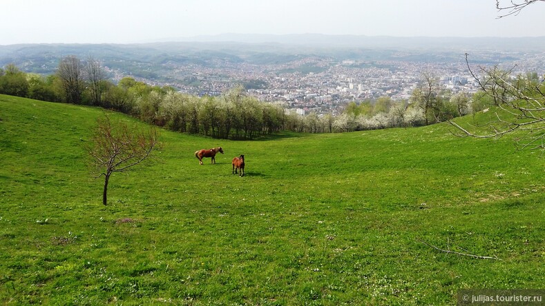 Баня-Лука. Инструкция по применению.