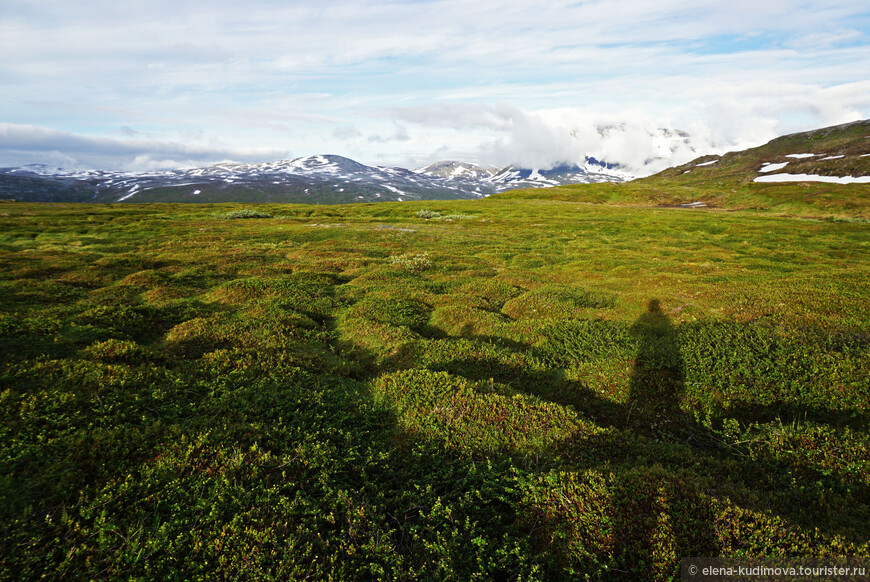 «В стране полночного солнца». Путешествие в Заполярную Норвегию. Тромсе.