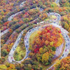 Ленкорань чай что это. Смотреть фото Ленкорань чай что это. Смотреть картинку Ленкорань чай что это. Картинка про Ленкорань чай что это. Фото Ленкорань чай что это
