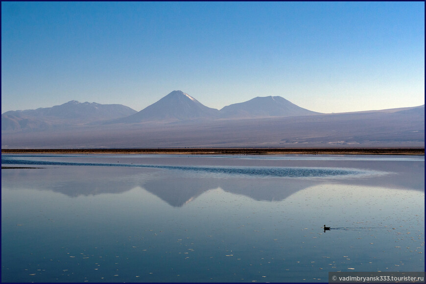 Три «А» на севере Чили — Атакама и Альтиплано в регионе Антофагаста