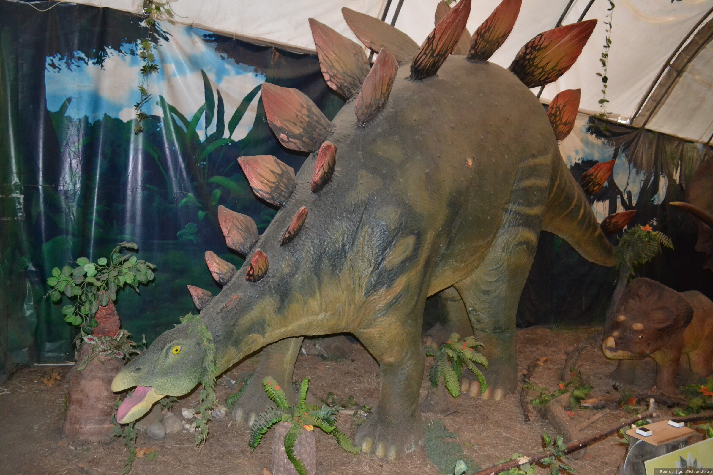 Выставка динозавров пермь колизей. Динопарк Затерянный мир Алушта. Парк динозавров в Алуште. Выставка динозавров в Алуште. Выставка о динозаврах в библиотеке.