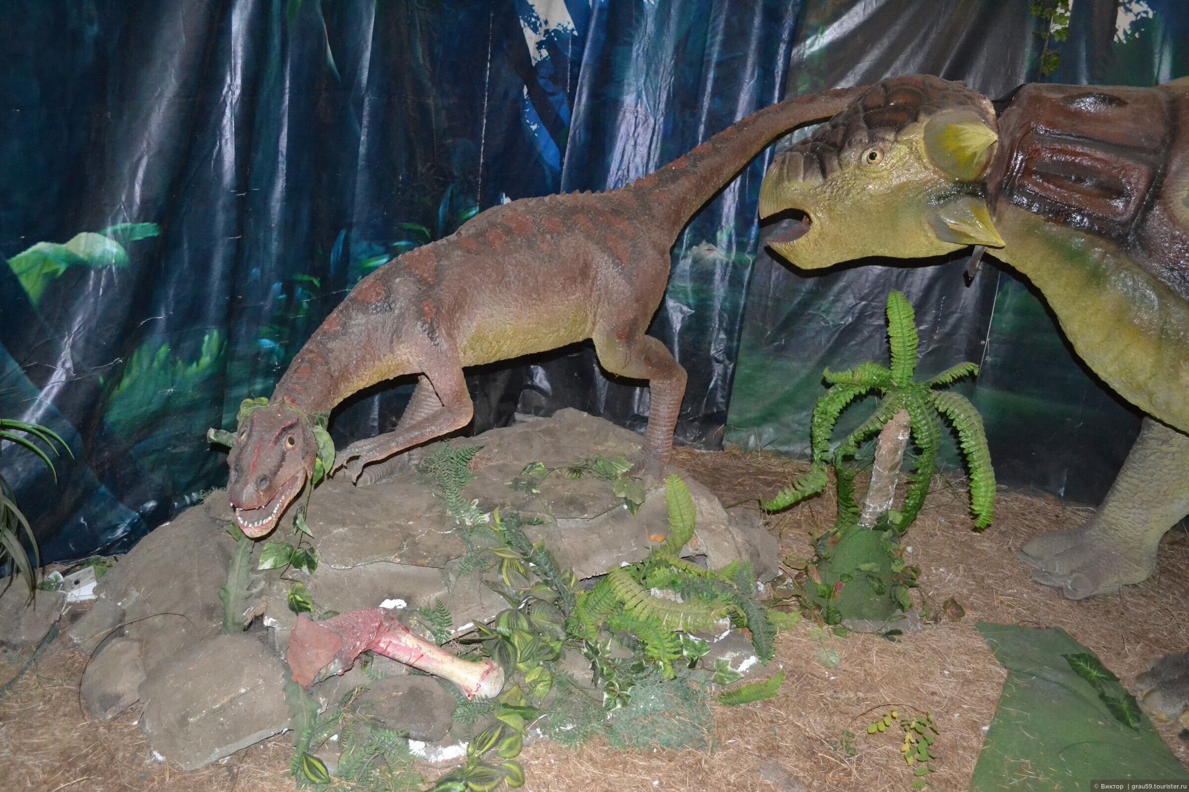 Выставка динозавров пермь колизей. Парк динозавров в Алуште. Выставка динозавров в Алуште. Выставка динозавров Пермь. Выставка о динозаврах в библиотеке.