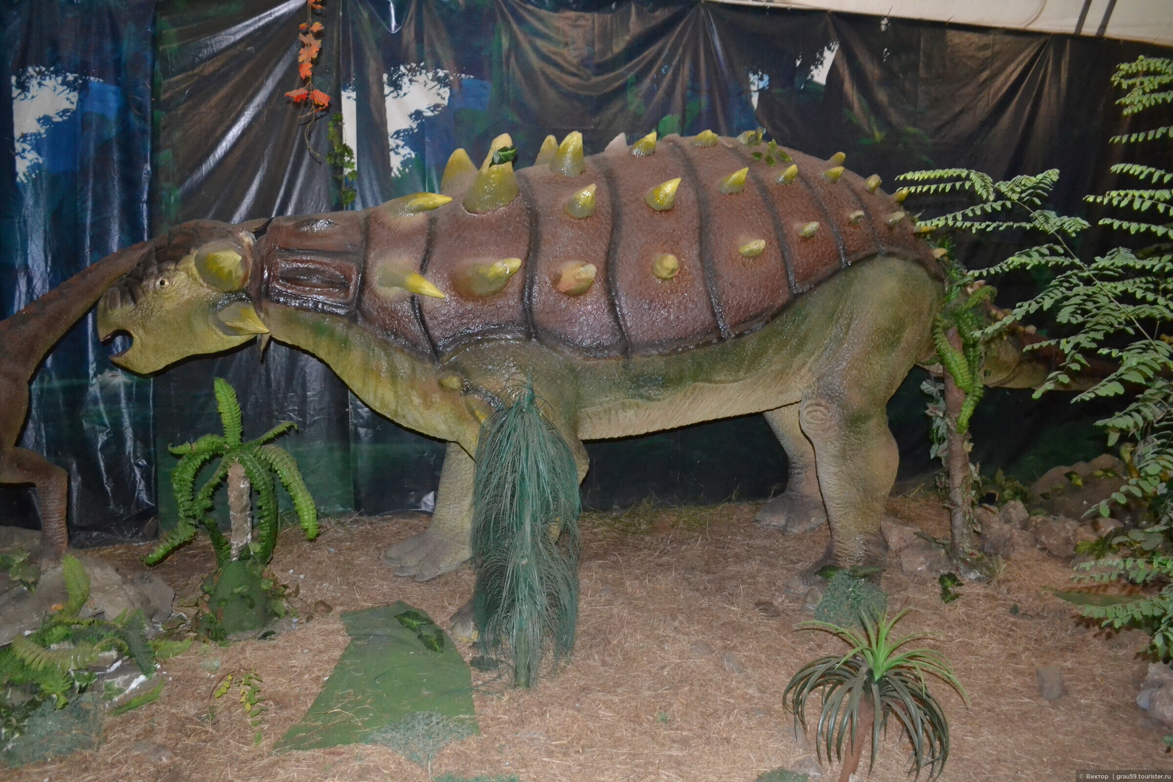 Выставка динозавров колизей. Парк динозавров в Алуште. Эуплоцефал. Выставка динозавров в Алуште. Выставка динозавров парк.