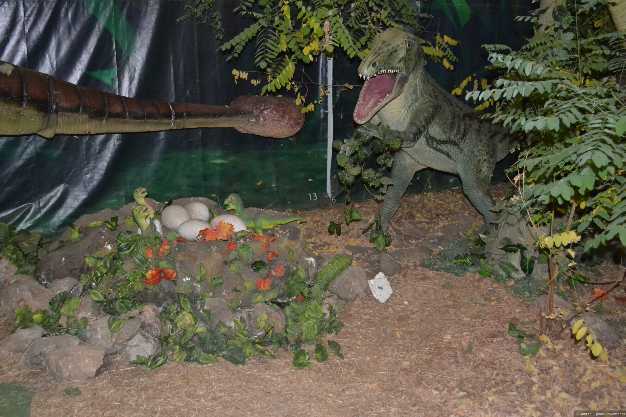 Выставка динозавров пермь колизей. Парк динозавров в Алуште. Парк Ривьера выставка динозавров. Сочи Ривьера выставка динозавров. Выставка динозавров в Алуште.