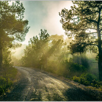 Кипр. Дорога с лучами солнца в Киренийских горах.