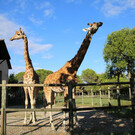 Зоопарк Пунта Верде