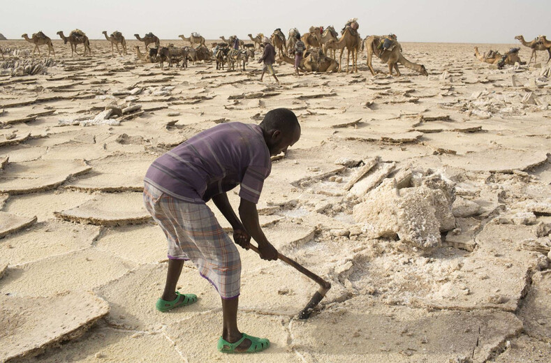Работа под палящим солнцем в пустыне с вулканами: фото о том, как в Африке добывают соль