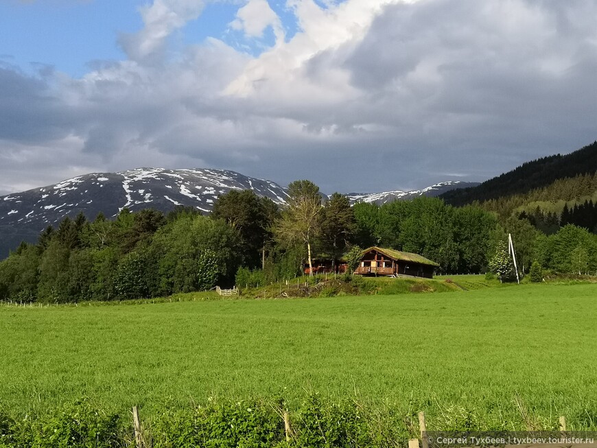 Путешествие в Норвегию. День 4. Берген, овечки и Согнефьорд